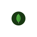 MongoDB